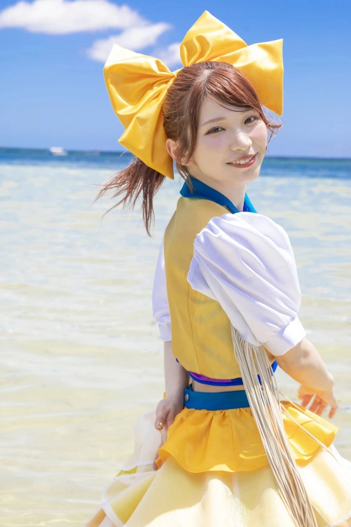 豆柴の大群 衣装アーカイブ：「天下豆一〜NO BEAN, NO BARK」シーズンと「豆柴ダイビング」シーズン